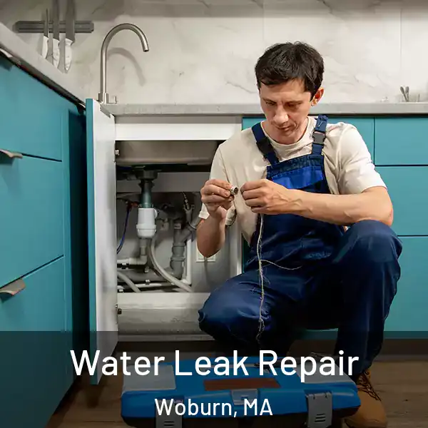  Water Leak Repair Woburn, MA